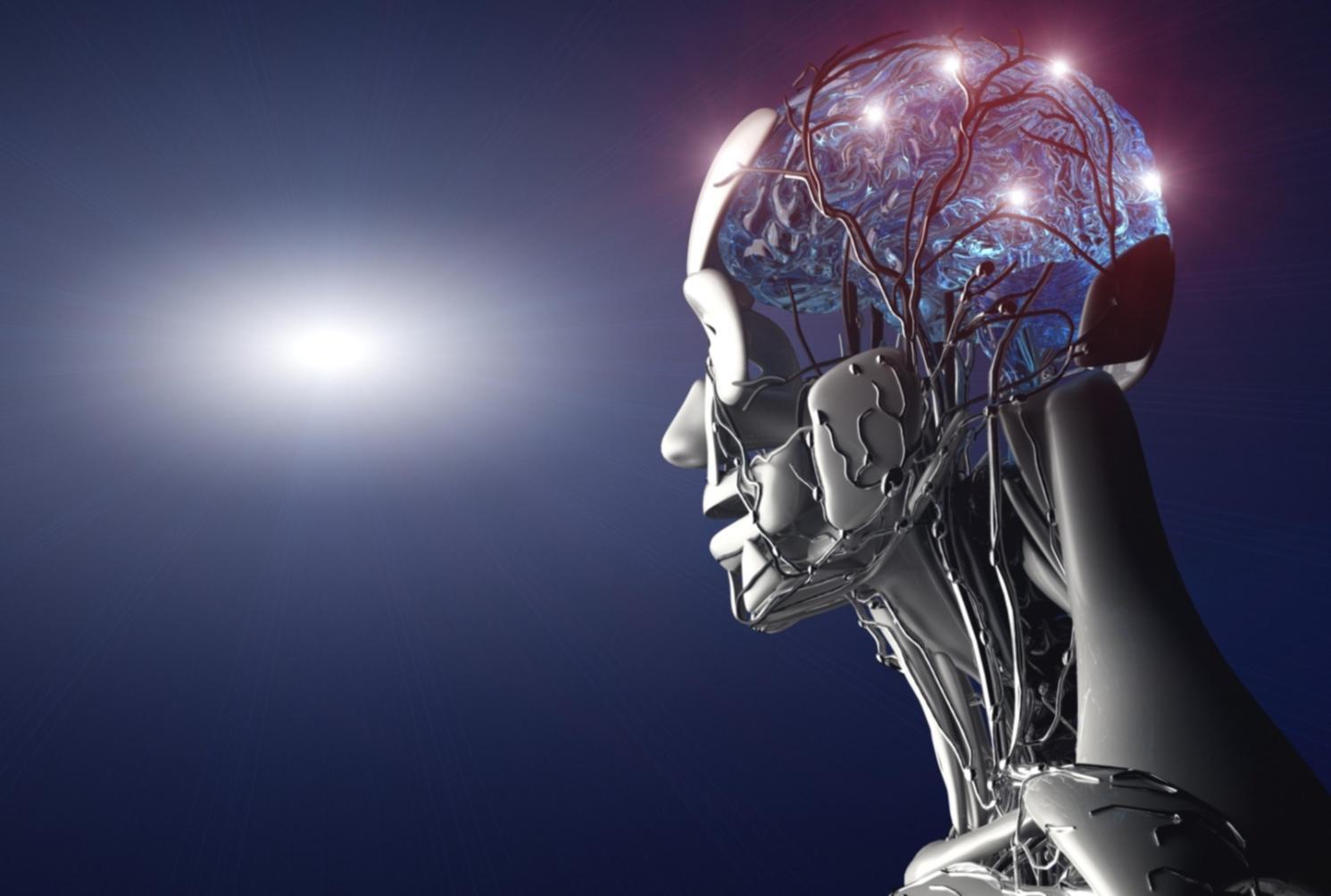 実践的な学習環境での作業風景